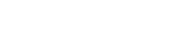 Sarvansh Global Link